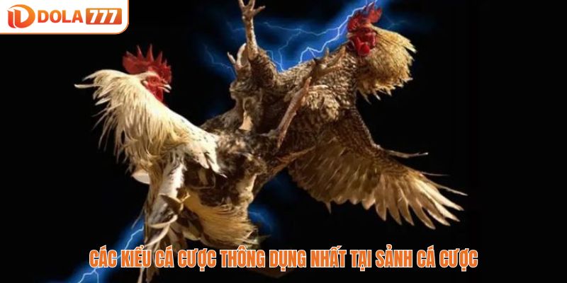 Các kiểu cá cược thông dụng nhất tại sảnh cá cược
