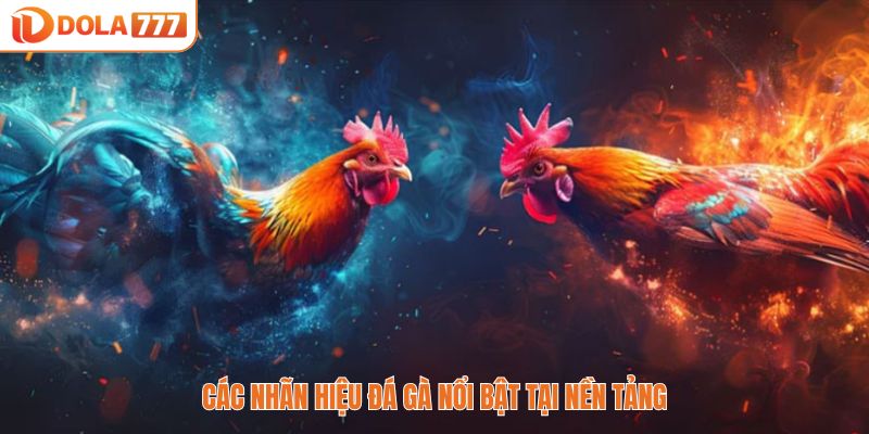Các nhãn hiệu đá gà nổi bật tại nền tảng