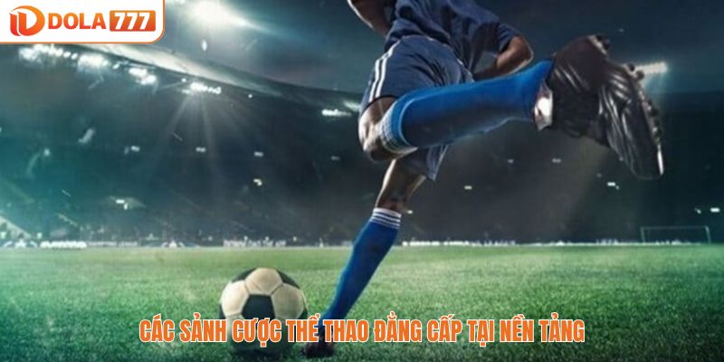 Các sảnh cược thể thao đẳng cấp tại nền tảng