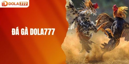 đá gà DOLA777
