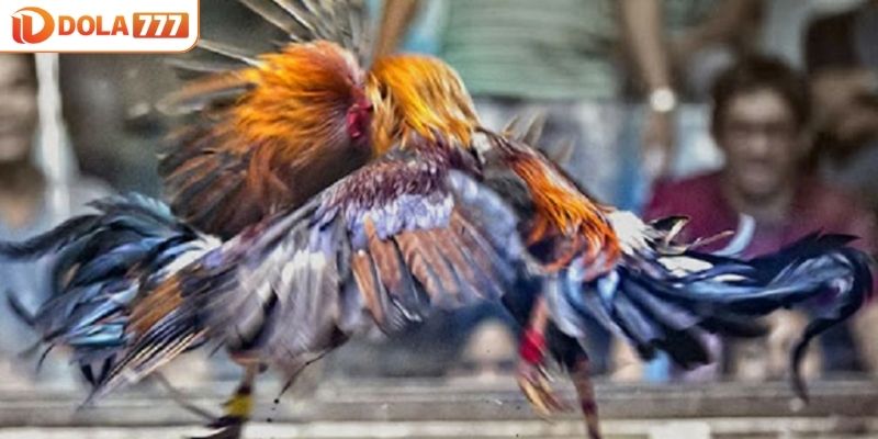 Hiểu rõ từng loại cửa để đưa ra lựa chọn đúng đắn